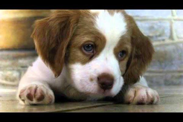 Магазин веществ кракен