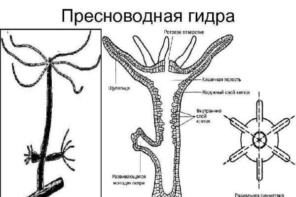 Кракен через обычный браузер