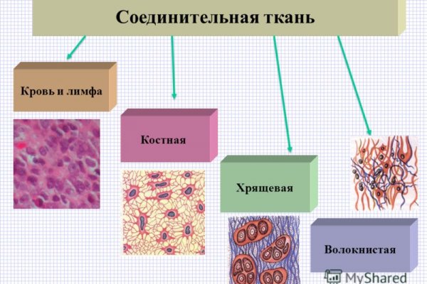 Зеркала кракен kraken014 com kraken014 com